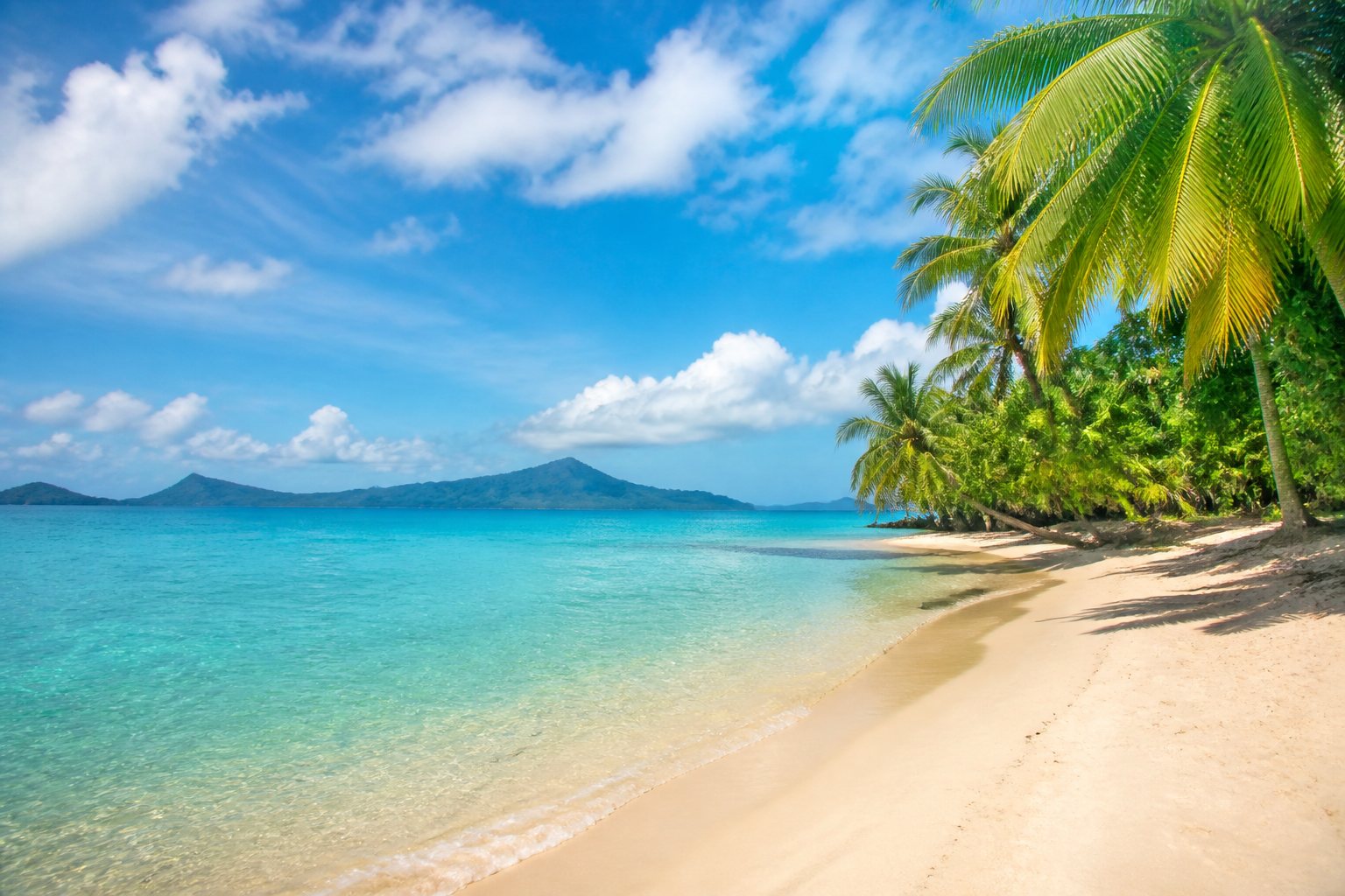 A tropical island for our honeymoon fund